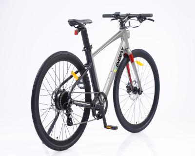 China Aluminum alloy HOT SALE FRAME LITHIUM BATTERY ALUMINUM ELECTRIC BIKE for sale