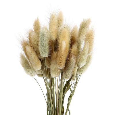 China Factory colorful beautiful promotion mini Valentine's Day wedding foxtail bouquet dried immortal flower for sale