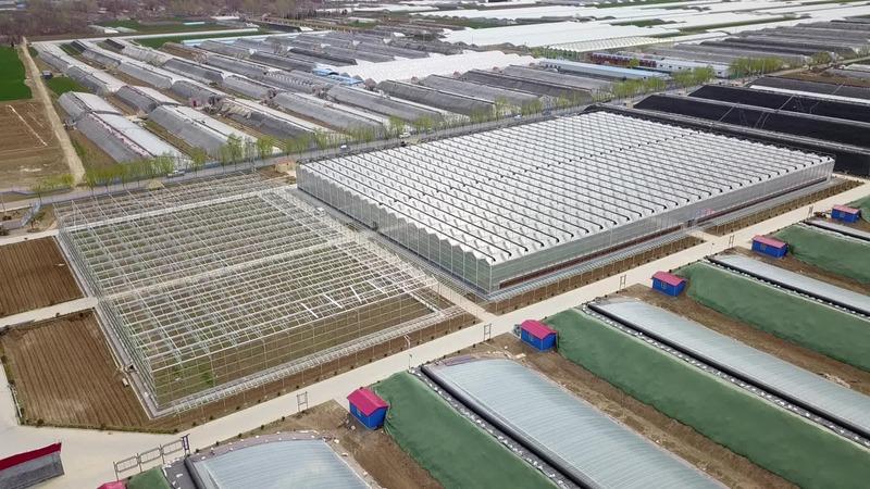 Проверенный китайский поставщик - Qingzhou Xinhe Greenhouse Horticulture Co., Ltd.