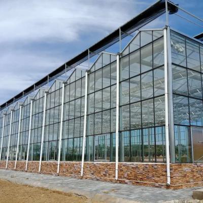 China Tunnel PE Plastic Film industrial greenhouse Hydroponic Systems, Agricultural Greenhouse with heating system for sale