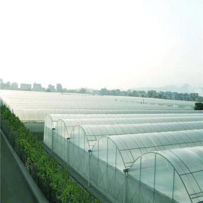 China Uv protection Plastic Film Greenhouse,single span/multi span plastic film agricultural greenhouses/vegetable & fruit greenhouses for sale