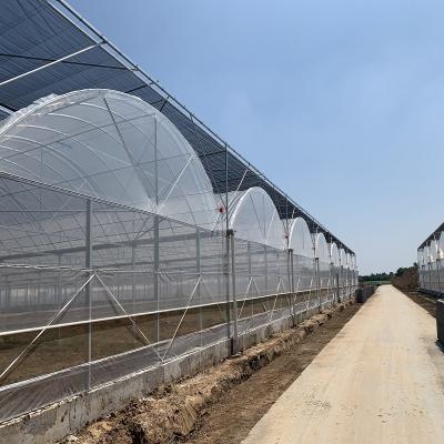 China Reinforced plastic film greenhouse for tomato and flower growth,used greenhouse frames for sale for sale