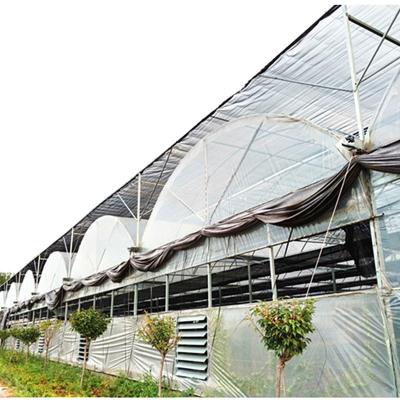 China Large Multi Span Greenhouse Polyethylene Film Greenhouse for agriculture for sale