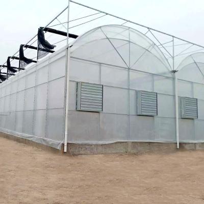 China Vertical Hydroponic Growing System For Strawberry for sale