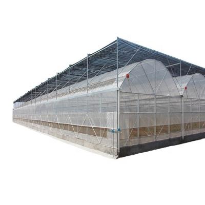 China customized UV resistant plastic film greenhouse for sale