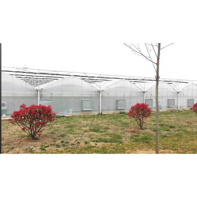 China High tunnel green house agriculture greenhouse for sale