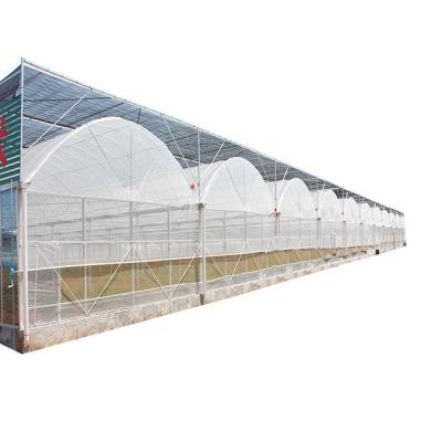 China uv protection plastic film greenhouse manufacturer for agriculture for sale