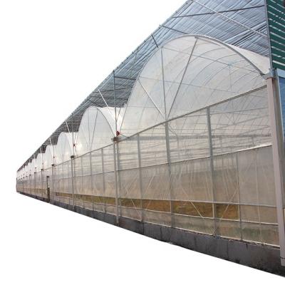 China Multi span film greenhouse with hydroponic irrigation system for sale