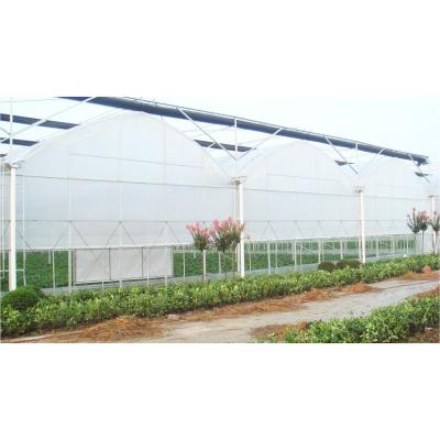 China Greenhouse Structure Hydroponics Greenhouse Multi Span Green House for sale