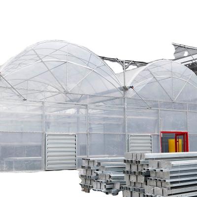 China Agricultural Film greenhouse Hydroponic Green House Mushroom House Greenhouse Tunnel for sale