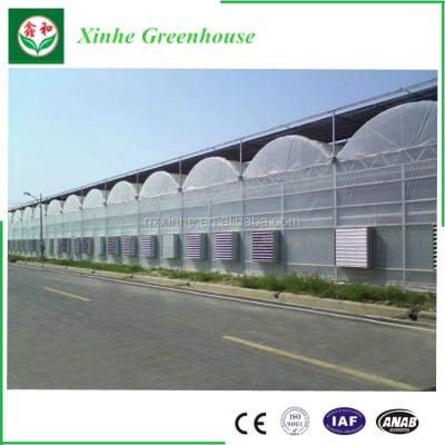 China aquaponics,Spain Style Gothic Film Greenhouse for sale