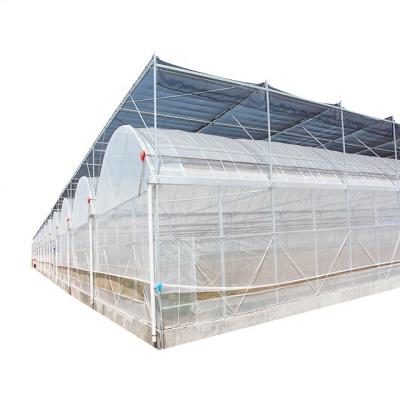 China Multi-Span Agricultural green house commercial greenhouse for vegetable for sale