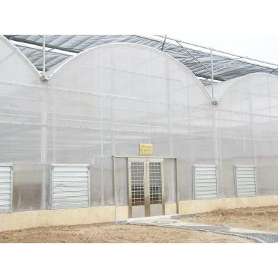 China Large Size Greenhouse Multi-span Arch Plastic Film greenhouse Vegetable Greenhouse for sale