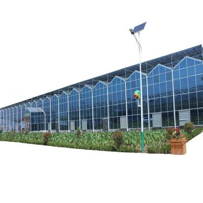 China Multi Span Green House Low price agricultural glass greenhouse for sale