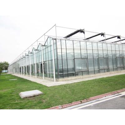 China Agricultural hydroponics venlo glass greenhouse or sunroom en venta