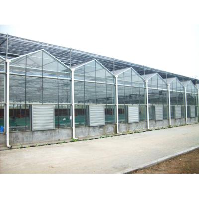 China Agricultural Greenhouses Multi Span Glass Greenhouse Steel Structure Sunroom for sale