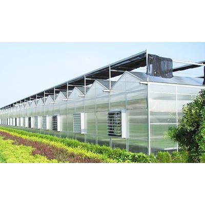 China Multi-Span Agricultural Greenhouse Type and Large Size solar greenhouse for fruit/flower/vegetables for sale