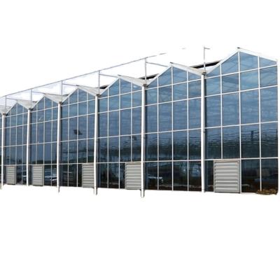 중국 Agricultural glasshouse glass multi-span greenhouses glass sunroom 판매용