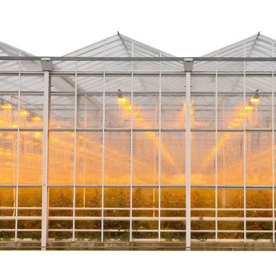 China Serre Modern multi-span glass greenhouse with hydroponic system for agricultural en venta