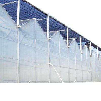 China Multi-span PC sheet greenhouse agriculture green house for sale