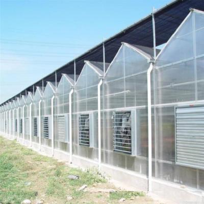 China hot galvanized frame PC greenhouse for sale,Polycarbonate Sheet Greenhouse for sale