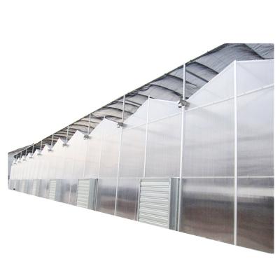 China Automatic Multi-Span Agricultural Greenhouse Farming PC green house for vegetable en venta