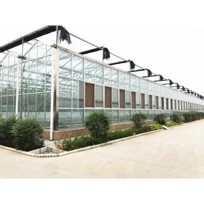 China UV protection polycarbonate sheet Greenhouse for vegetable en venta