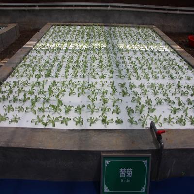 China Greenhouse Manufacturer Commercial Greenhouse Hydroponic Growing Systems for sale