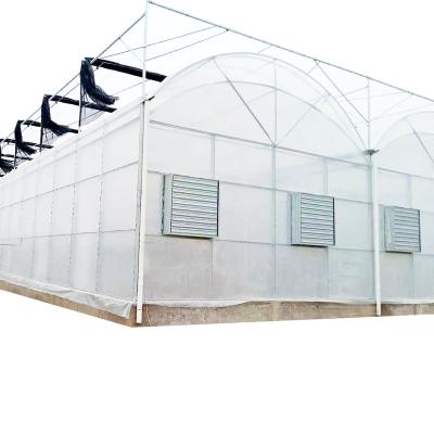 China Good quality commercial hydroponics greenhouses systems for sale