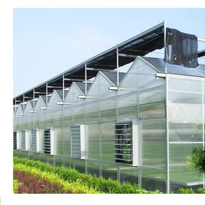 Китай Multi-span polycarbonate greenhouse Plastic Shed for vegetables продается