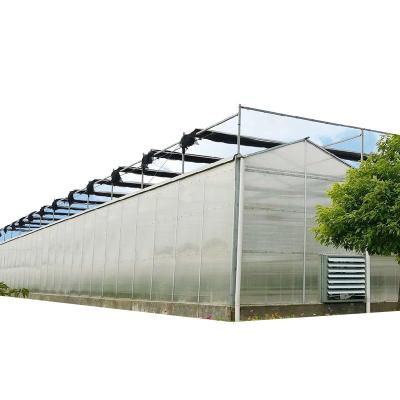 China Polycarbonate agricultural greenhouse with hydroponic micro-green tray growing system for sale