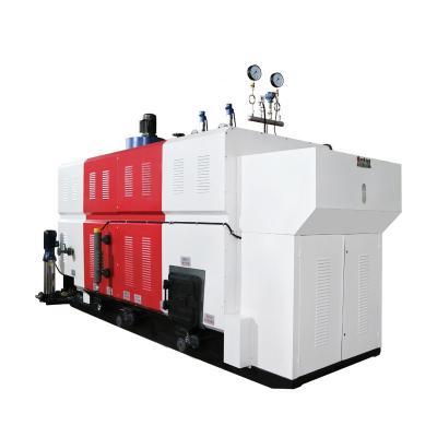 China Horizontal Product Biomass Thermal Efficiency 90%-92% Ordinary Gas Boiler Combi for sale