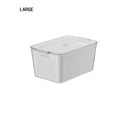 China Freshness Preservation Wholesale Large Capacity Refrigerator Storage Containers Fruit And Vegetable Food Storage Drain Boxes for sale