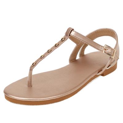 China Gladiator Sandals Shoes Ladies Strap Flip Flops Thong Sandals Buckle T-Strap Women Sandals Summer Fashion Trend for sale