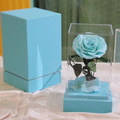 China Natural Rose Acrylic box preserved flowers roses with wooden base for sale