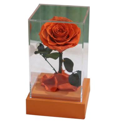 China Natural Rose Acrylic box preserved flowers roses with wooden base for sale