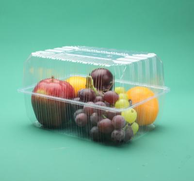 China Custom Clear 500g Biodegradable Plastic Disposable Fruit Packing Container Disposable With Lid for sale