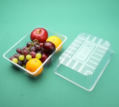 China High Grade Disposable Custom Pet Plastic Fresh Fruit And Vegetable Box With Lid for sale