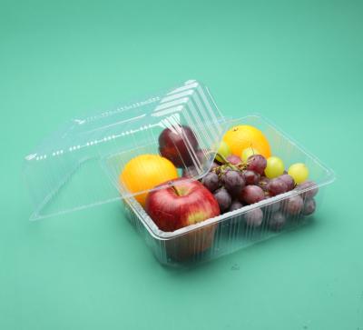 China High Quality Disposable Disposable Food Container Fruit Transparent Plastic Packing Boxes For Fresh Fruit Vegetable for sale