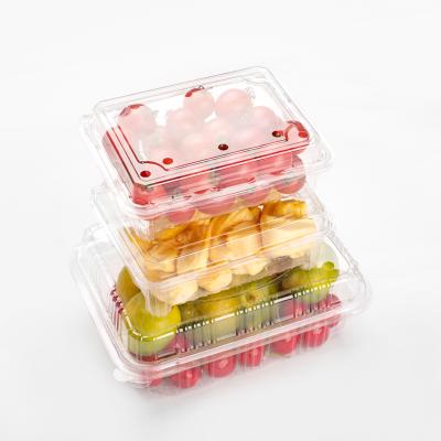 China Disposable Food Grade PET Disposable Plastic Clear Fruit Container With Holes for sale