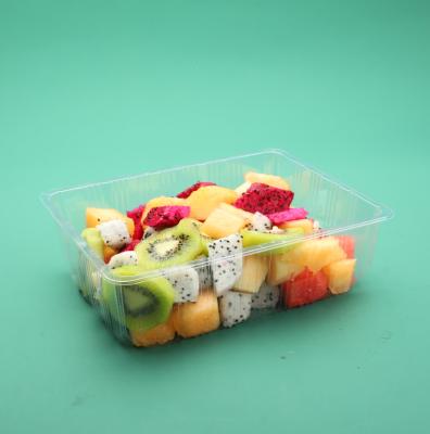 China Disposable Wholesale High Quality Plastic PET Fruit Vegetable Container Packaging Box for sale