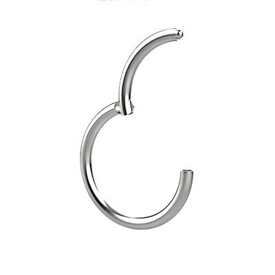 China Fashionable sting ornament G23 titanium nose ring European and American fashion nose accessories piercing nose ring for sale