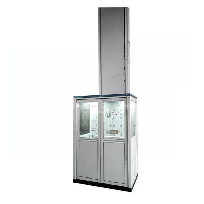 China 2 Person Wheelchair Platform Lift 4m Indoor Or Outdoor Handicap Lifts For Home for sale