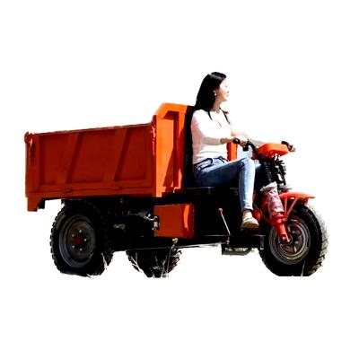 China Farms Seville Farm Tricycle Three Wheels Volta Adult Electric Cargo For Generator Charging Adult Used Electric Tricycles for sale