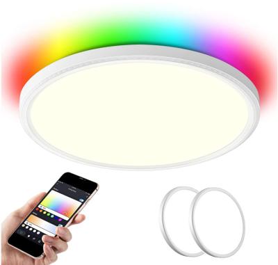 China Smart Voice Control Tuya WIFI Led Ceiling Light Works With Alexa And Google Assistant for sale