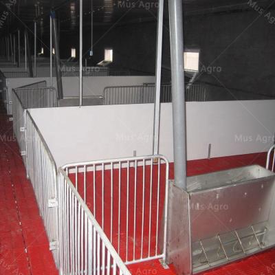 China Animal Farms Hog Nursery Crates Stall Hog Cages Wholesale Galvanized Pipe Hog Cages for sale