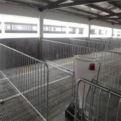 China Low Cost Economic And Practical Prefab Poultry Pig Steel Structure Farms House for sale