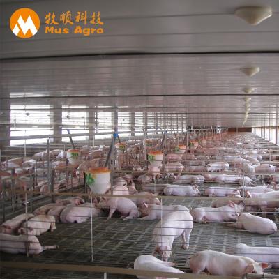 China Livestock Animal Farm Equipment Low Price Feeder Crate Finishing Crate For Sale for sale