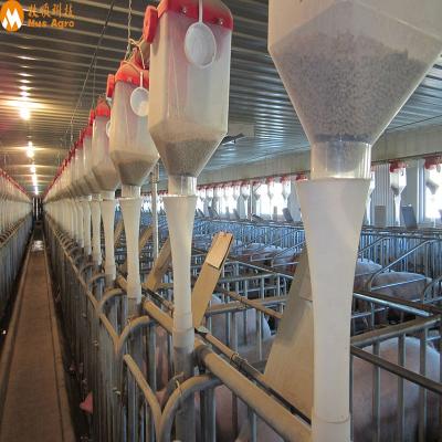 China Pig Fattening System PP Plastic Cup Quantitative Pig Farm Feed Line For Automatic Pig Farm for sale