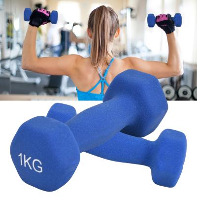 China Customized Matte Woman Dumbbells Rack Stands Dumbbells Rack Weightlifting Set Fitness Home Weights Hand Weights Slimming Dumbbell Set for sale